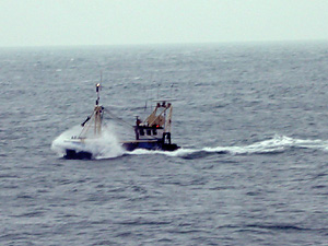 Fishing boat - probably a scallop dredger