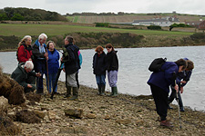 Looking for fossils on the beach at Herbury
