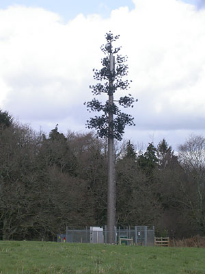 The plastic tree